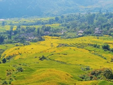 BÁN lô đất 1084m ĐẸP NHẤT Mò Phú Chải - Y Tý - Lào Cai