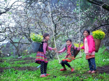 Cần bán rẻ  trả nợ  mảnh đất thôn  Phan Cán Sử, Y Tý, Lào Cai