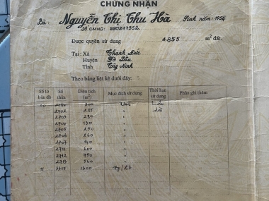 BÁN ĐẤT NÔNG NGHIỆP GẦN QL 22B VÀ SÔNG VÀM CỎ