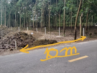 Chính chủ cần bán đất tại Bình Dương.