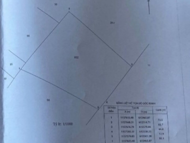 Cần bán gấp 5413m2 tại xã Lý Nhơn huyện Cần Giờ